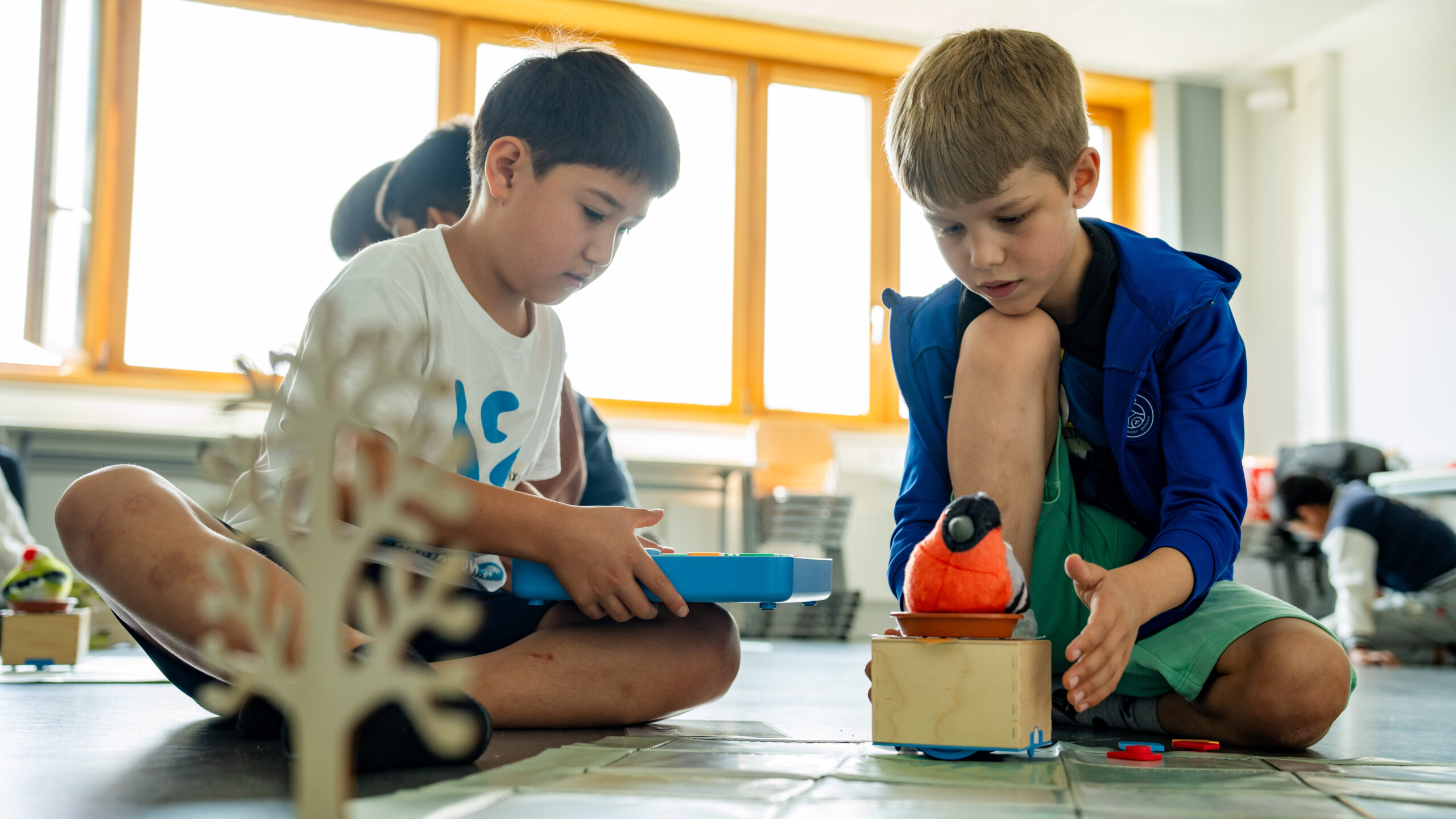 Das war die Adventure School im Sommer 2025